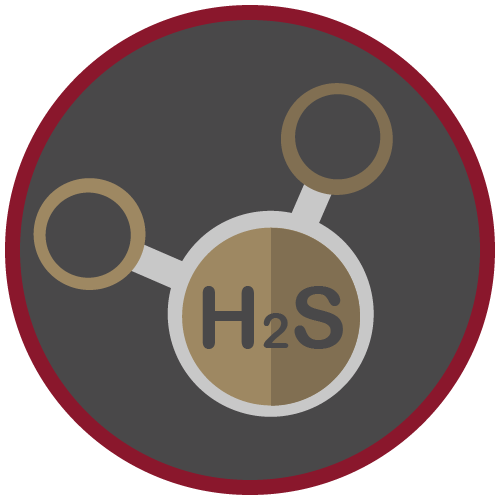 Hydrogen Sulfide Safety (HST): Train-The-Trainer