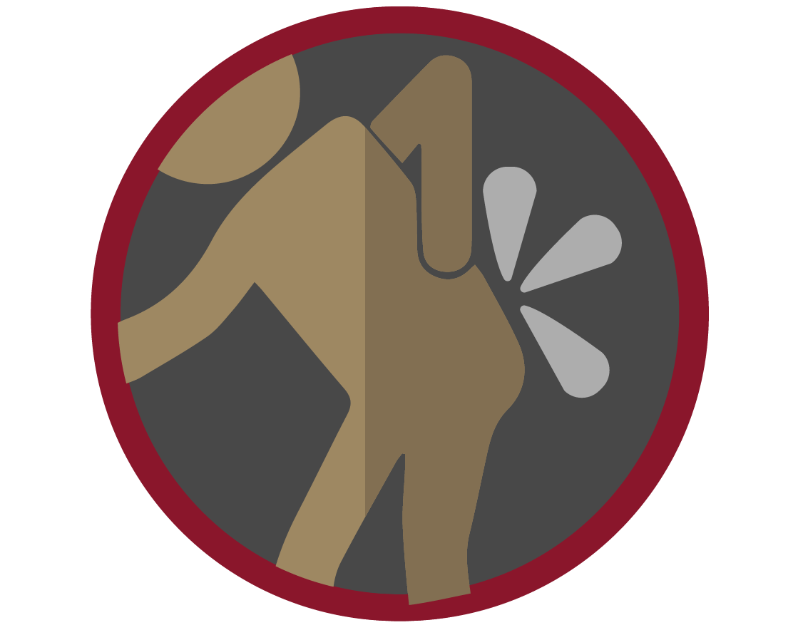 Workplace Ergonomics Specialist: Live Course in Orlando, Florida